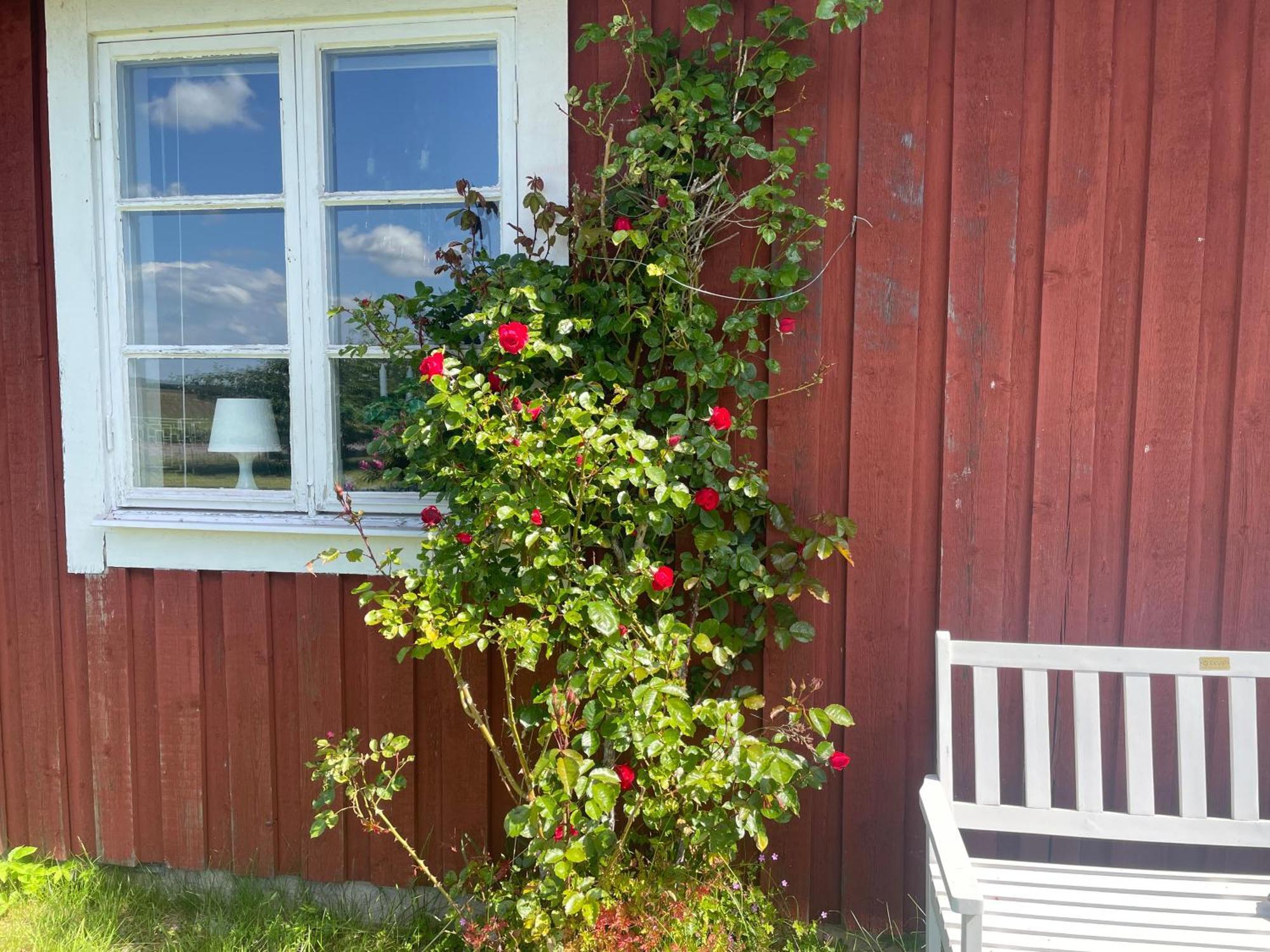 Kapelludden Oestra Oeland Villa เชอพิงส์วิค ภายนอก รูปภาพ